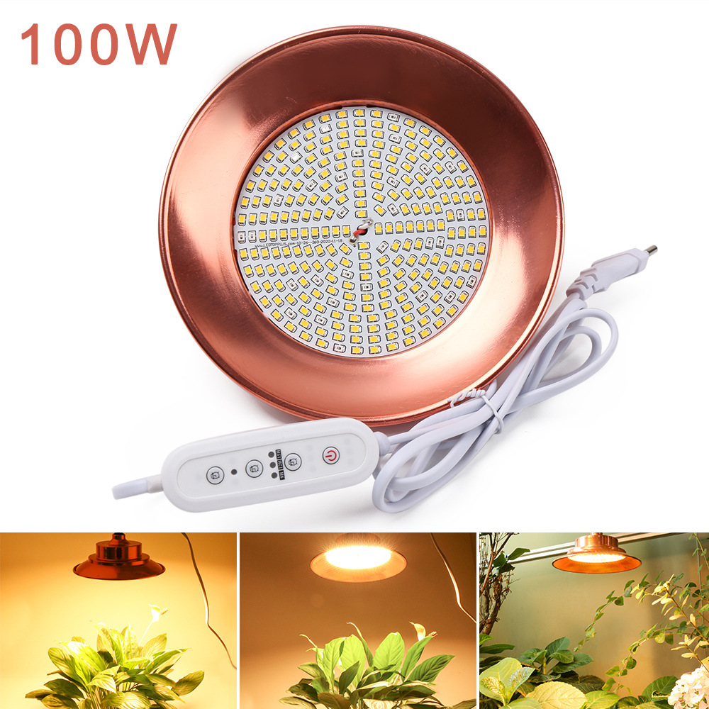 OEM/ODM IP68 35W/25W/18W RGB Swimming LED Pool Light SS316/304 12V/24V