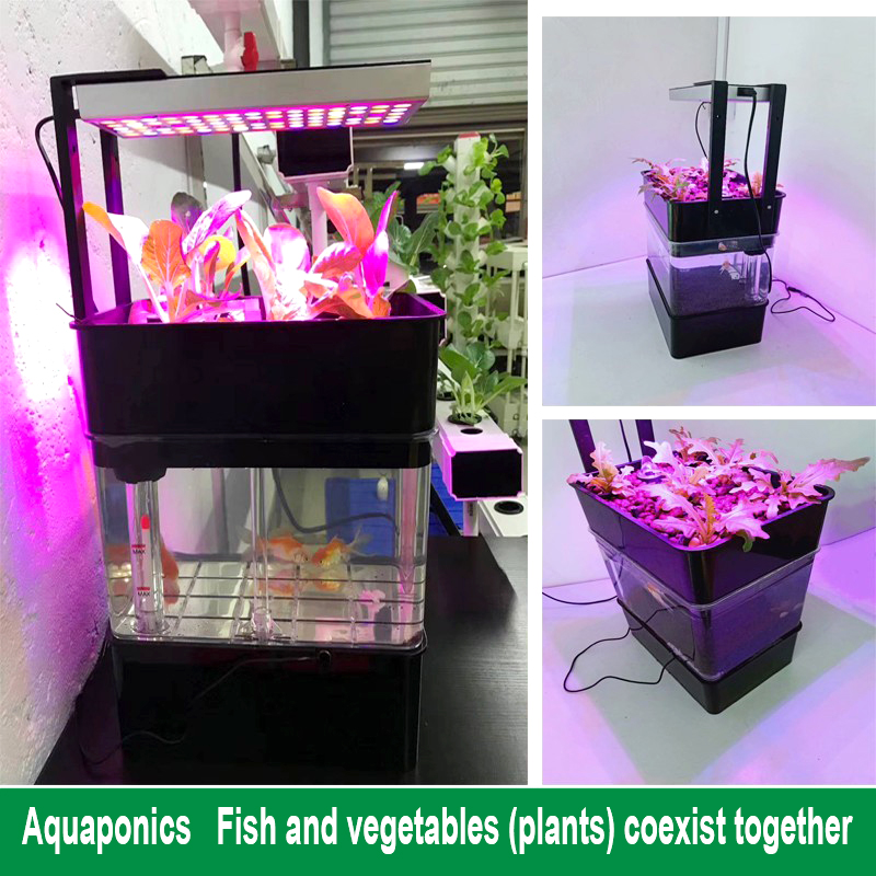 Smart Home Hydroponic Growing System Fish Culture Indoor LED Grow Light with Eco-Friendly Fishtank Flower Pots & Planters