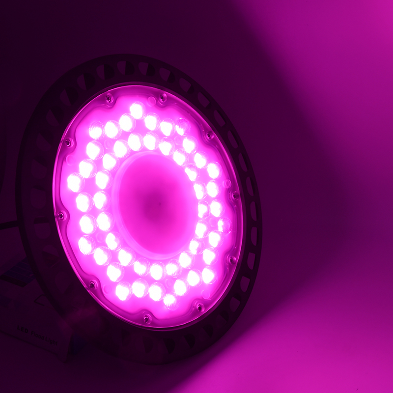 Dragon Fruit Fill Light 150w LED Bulb Indoor Plant Light Grow Lights for Indoor Plants Plant Light for Indoor Plants Plant Grow Lights LED Grow Light