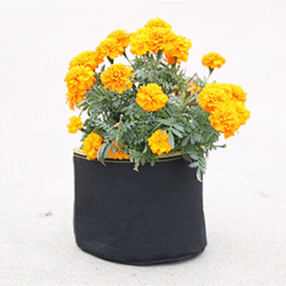 3 Gallon Grow Bags Thickened Nonwoven Fabric Pots with Handles, Multi-Purpose Rings