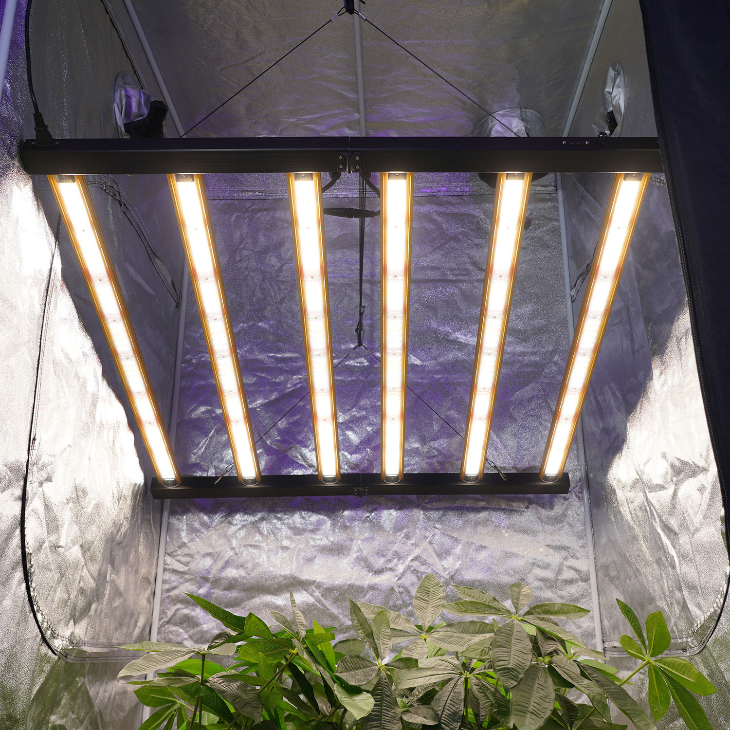 Foldable 720W Full Spectrum LED Grow Light Bars for High Yield Greenhouse Vegetable Production