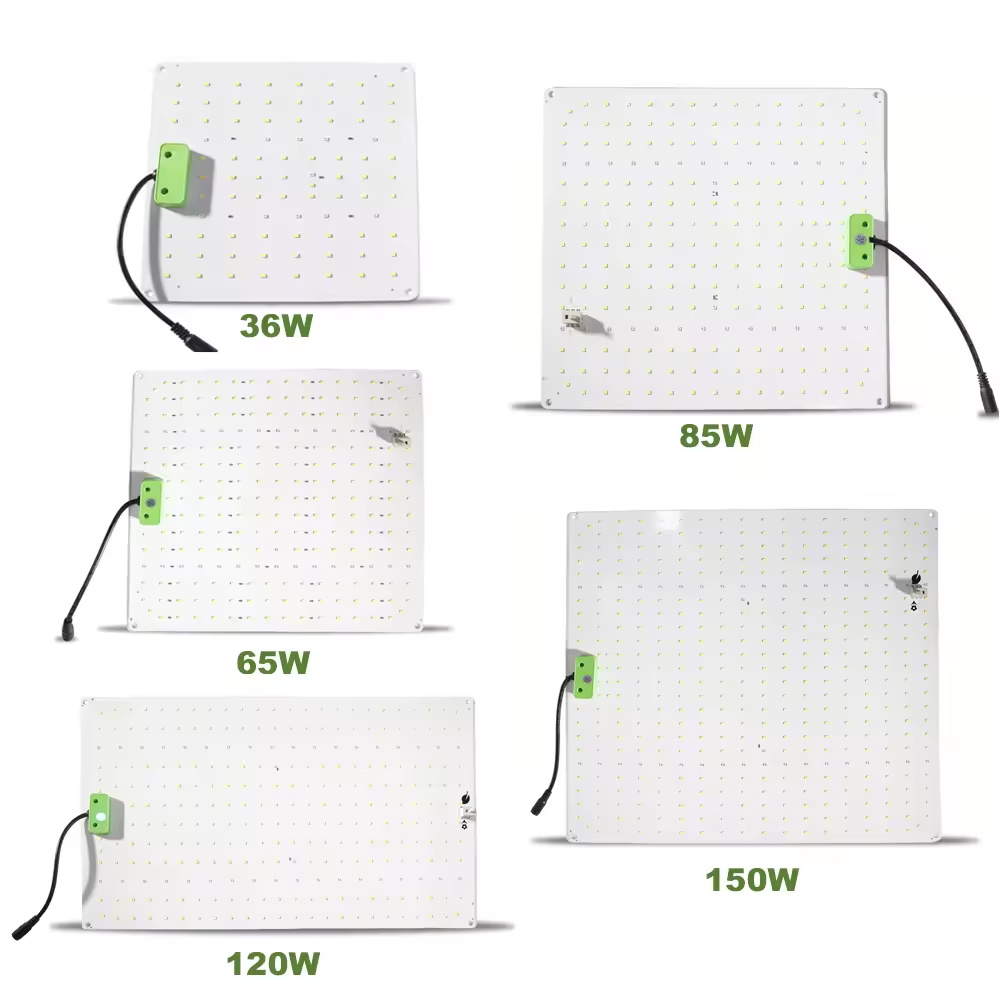 Versatile 4FT-8FT Full Spectrum LED Grow Panels for Indoor & Greenhouse Horticulture Applications