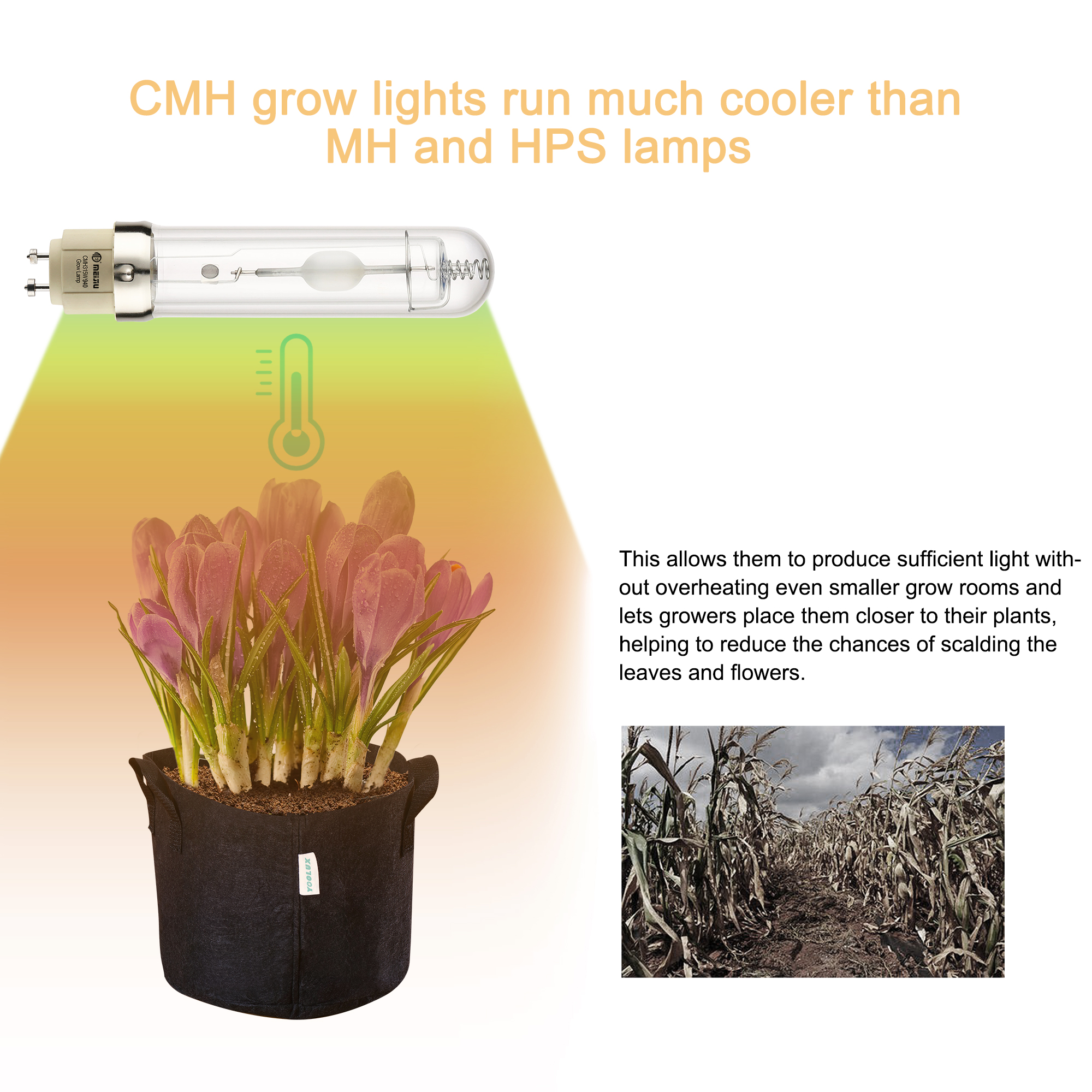 New Design 315 Watt Ceramic Metal Halide LAMP Full Spectrum Indoor Grow CMH Bulbs with 4000K 3100K for Gardening