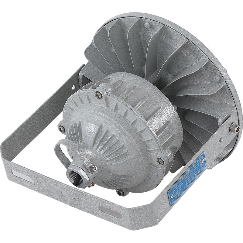 LED Explosion-Proof Light 100W IP65 Anti-Corrosion Class 2 Div Explosion Proof Lamp Hazardous Area UFO High Bay Lights