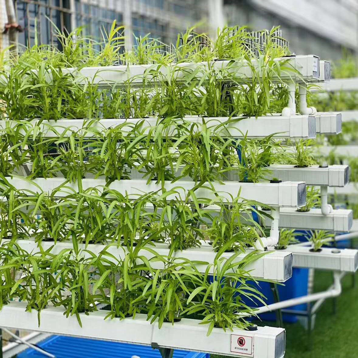 Hydroponics Indoor Vertical Farm CEA Planting Rack Shelf, Small Greenhouse Grow Table Leafy Green Fruit Vegetables Plant