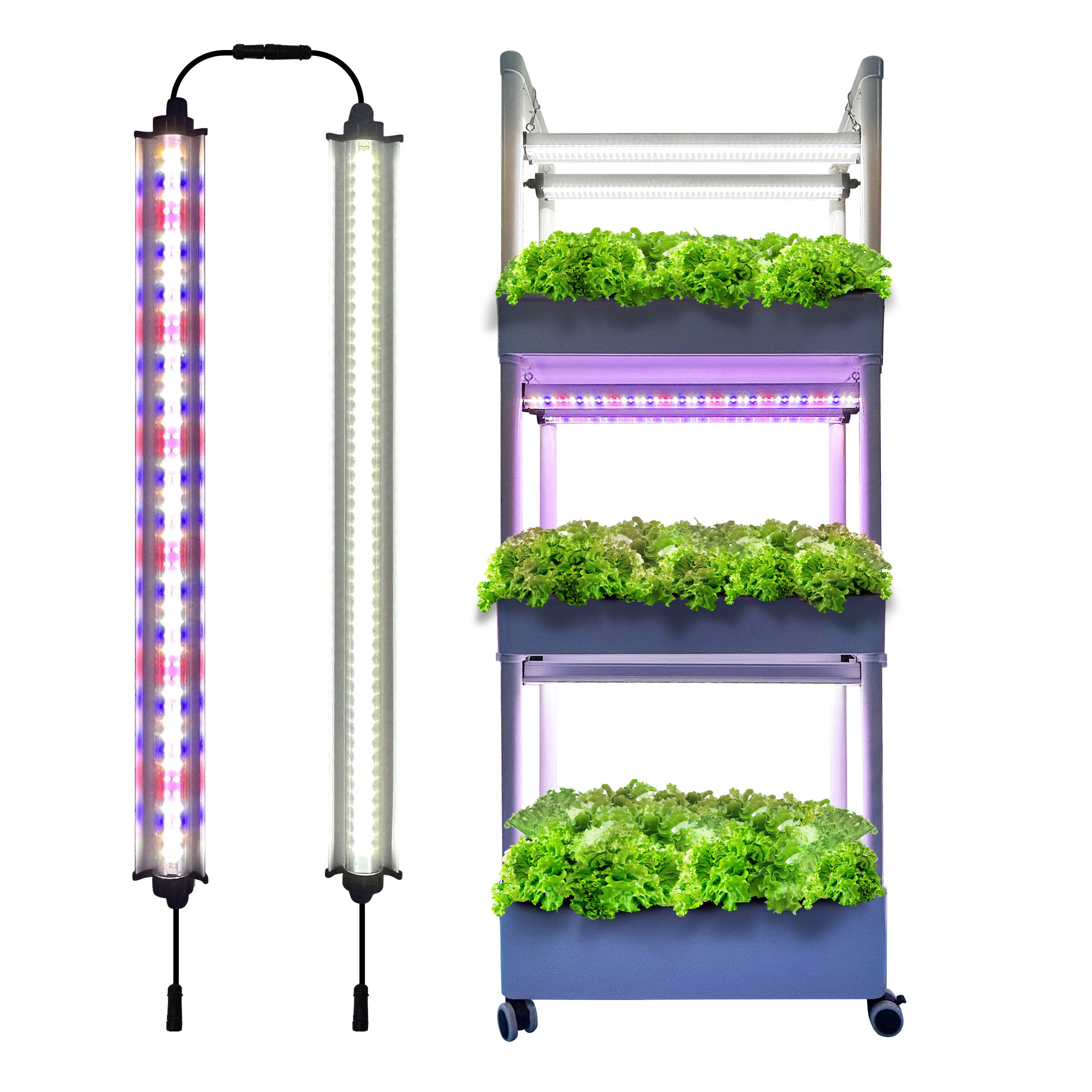 Balcony Gardening Vegetable Growing Hydroponic System for Kitchen 3-layer Smart Planter