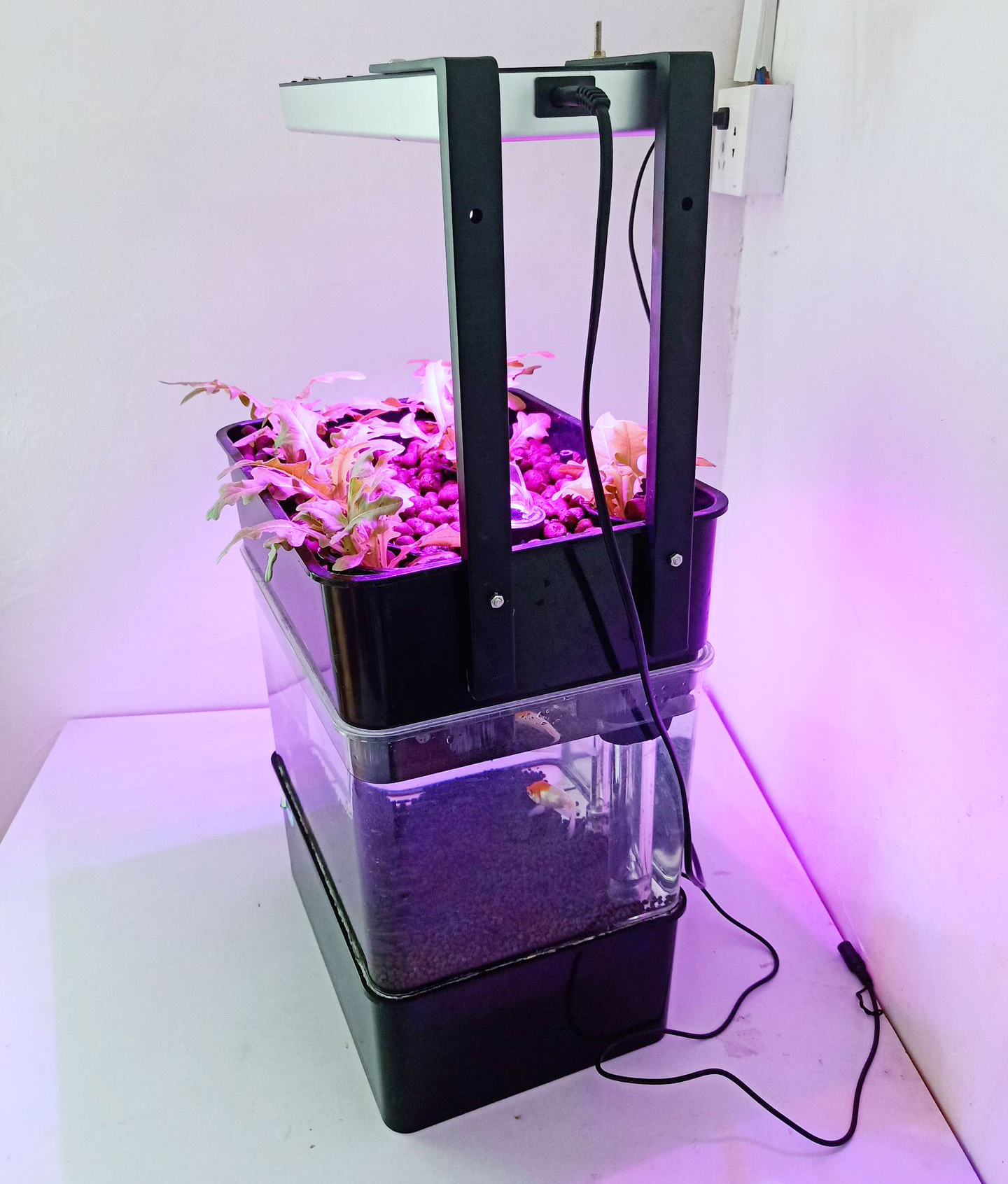 Smart Home Hydroponic Growing System Fish Culture Indoor LED Grow Light with Eco-Friendly Fishtank Flower Pots & Planters