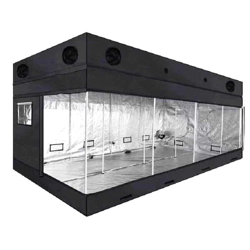 MEIJIU Hydroponics Indoor Grow 300X600X200CM 600DD Grow Tent