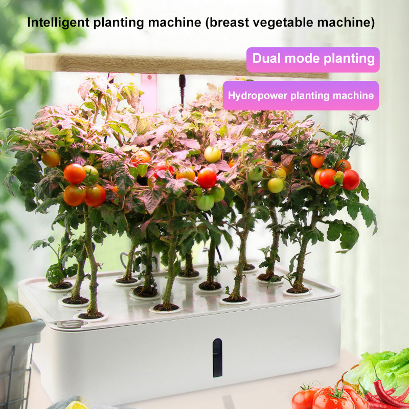 Hydroponic Vegetable and Flower Planter