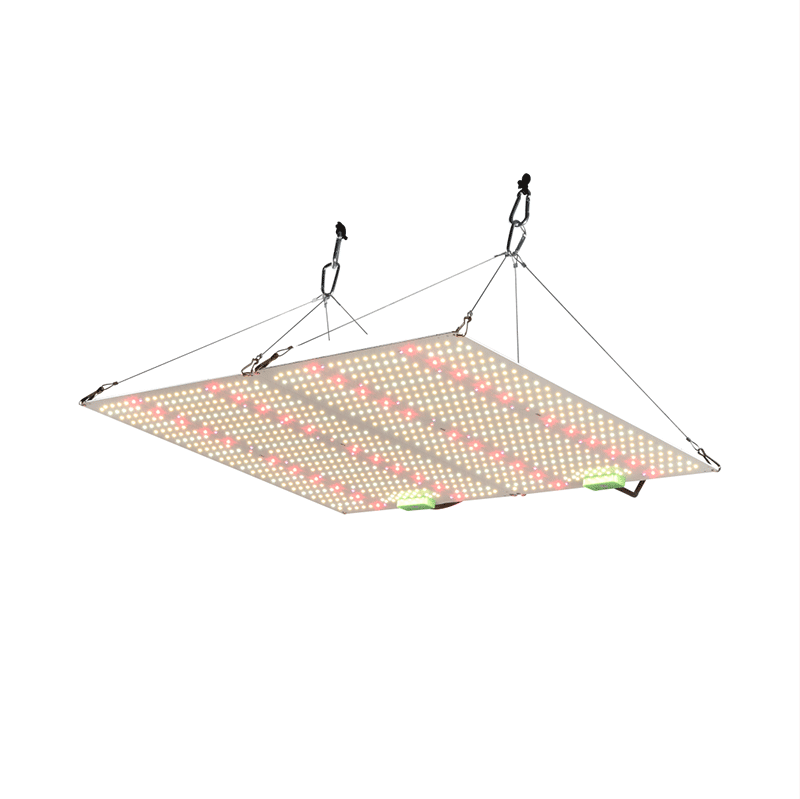 Professional 100W LM301H Full Spectrum LED Grow Light System for Commercial Vertical Farms, Greenhouse Toplighting