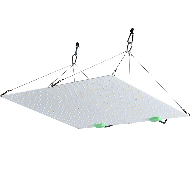 Professional 100W LM301H Full Spectrum LED Grow Light System for Commercial Vertical Farms, Greenhouse Toplighting