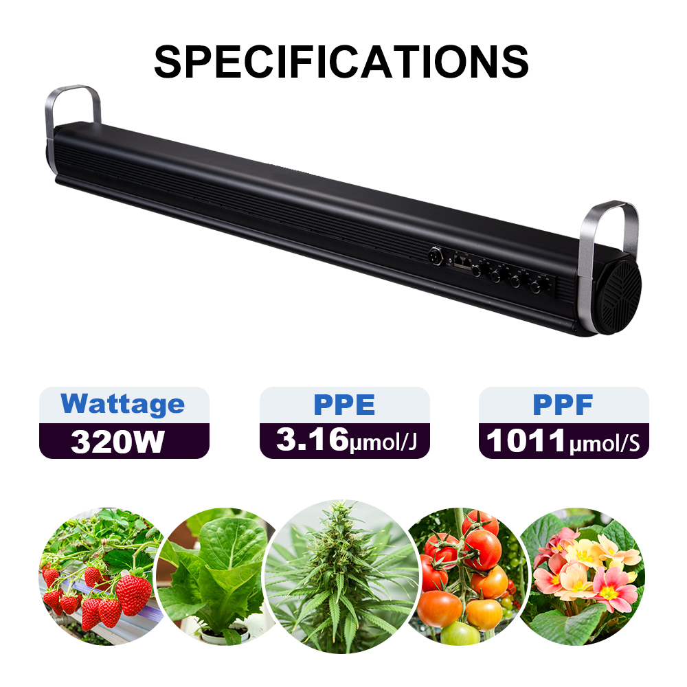 Complete Hydroponic Grow Kit with LED Lighting System for Hobby Growers and Indoor Cultivation Enthusiasts