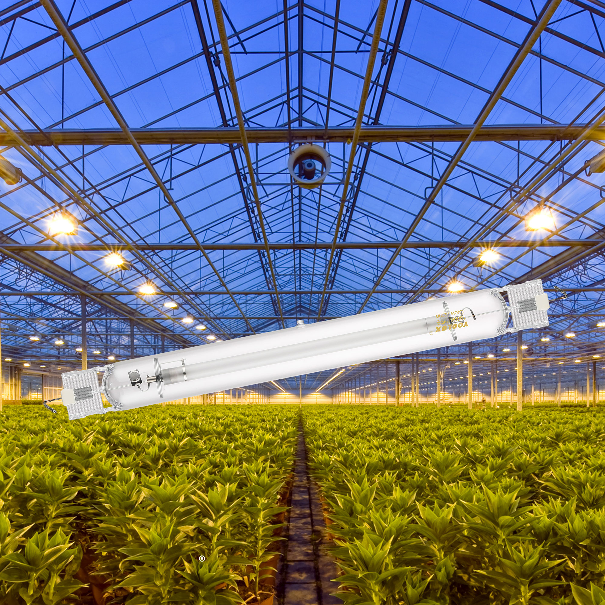 Manufacturer 1000W HPS Lamp High Pressure Sodium Light for Plant Growth