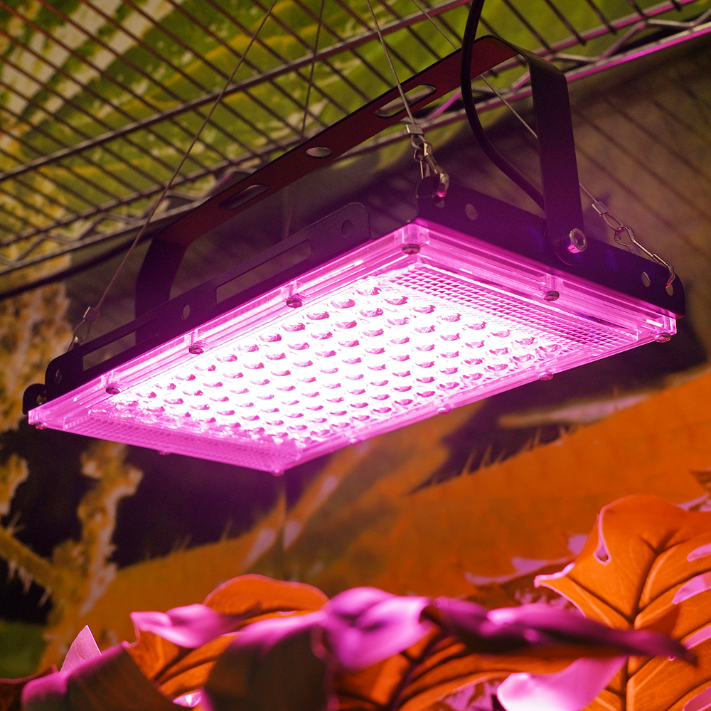 Advanced Quantum Board Full Spectrum LED Plant Lights for Seedling and Commercial Cultivation