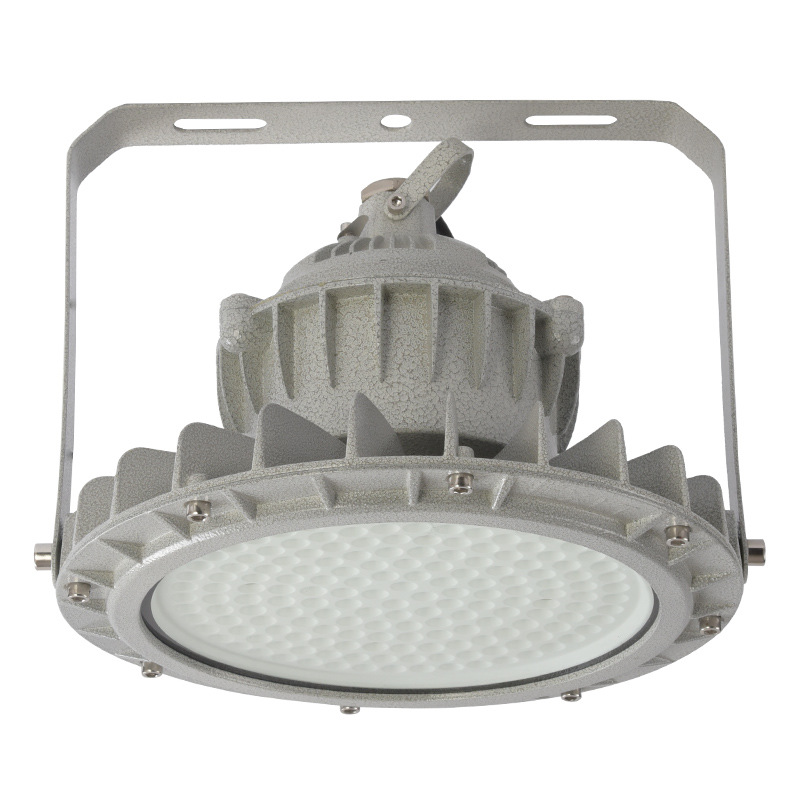 LED Explosion-Proof Light 100W IP65 Anti-Corrosion Class 2 Div Explosion Proof Lamp Hazardous Area UFO High Bay Lights