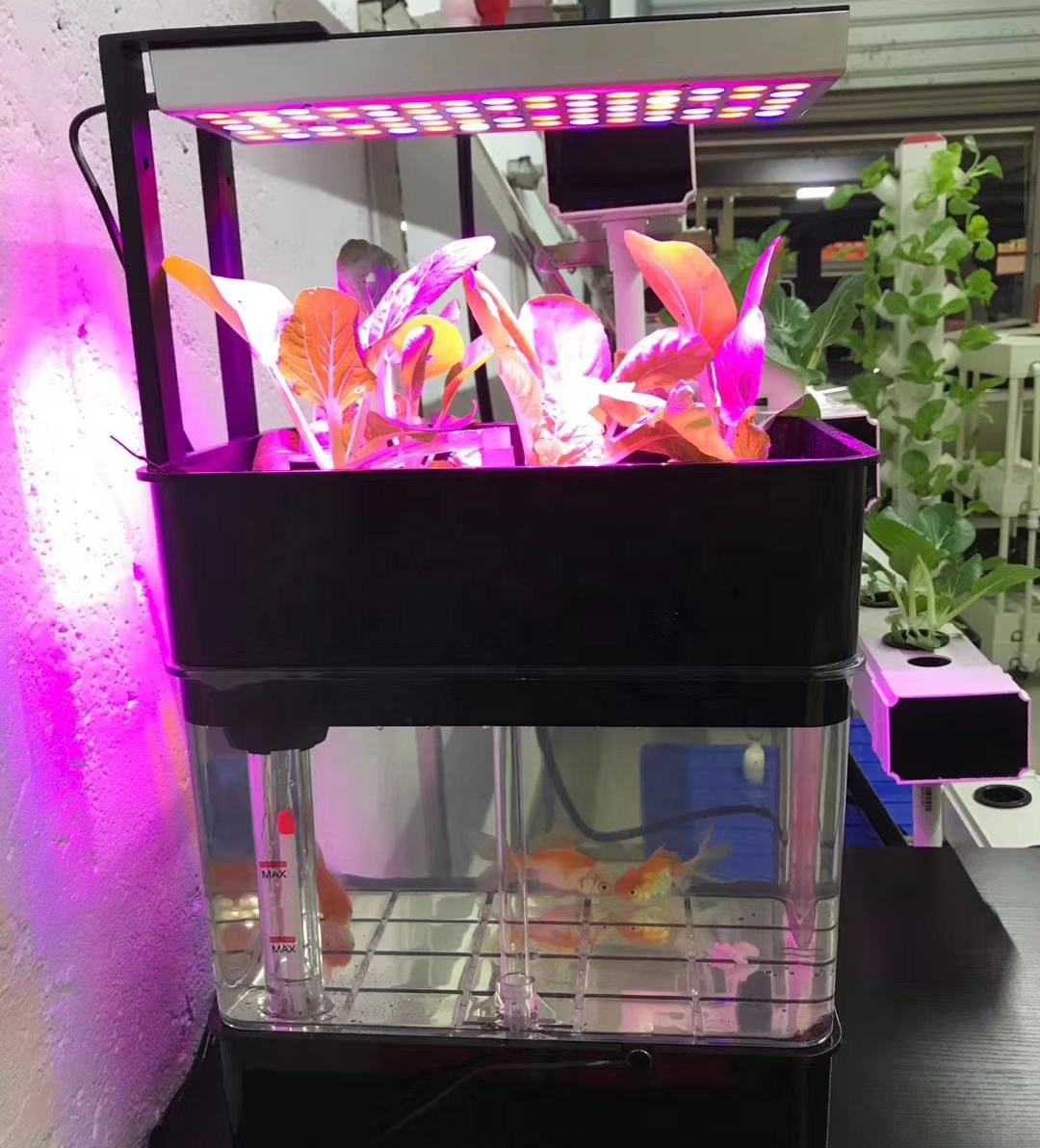 Smart Home Hydroponic Growing System Fish Culture Indoor LED Grow Light with Eco-Friendly Fishtank Flower Pots & Planters