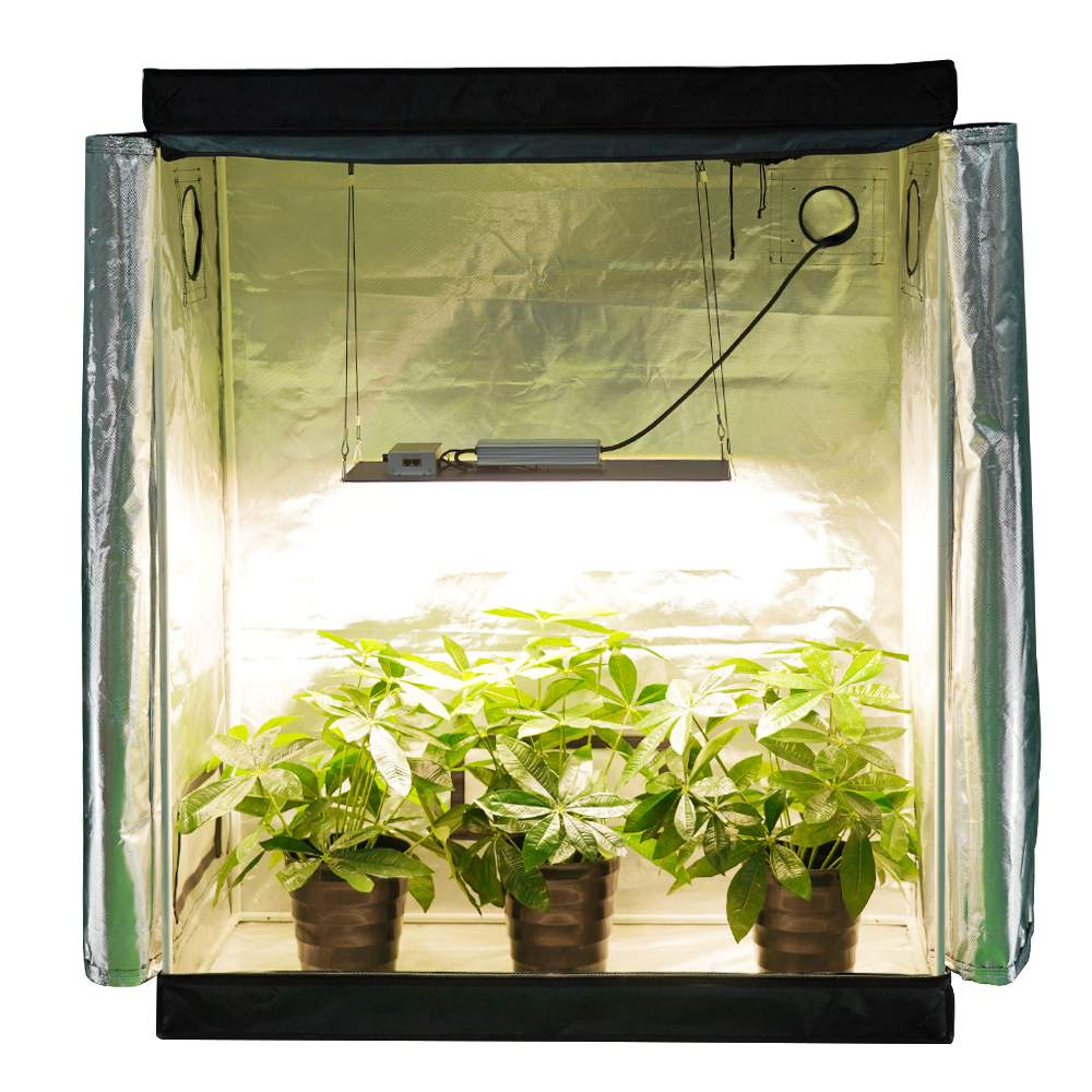 MEIJIU Hydroponics 120x60x180CM 600D Grow Tent Kit Grow Box
