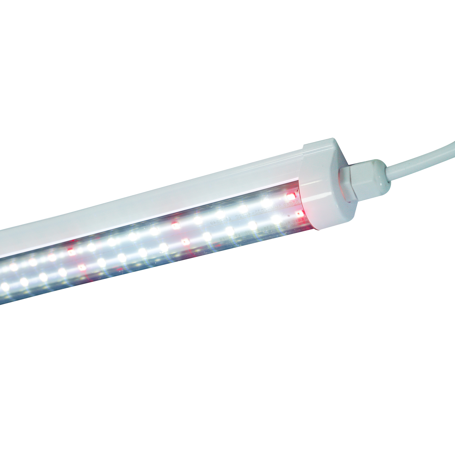 T8 waterproof lamp double rows of lamp beads 16W