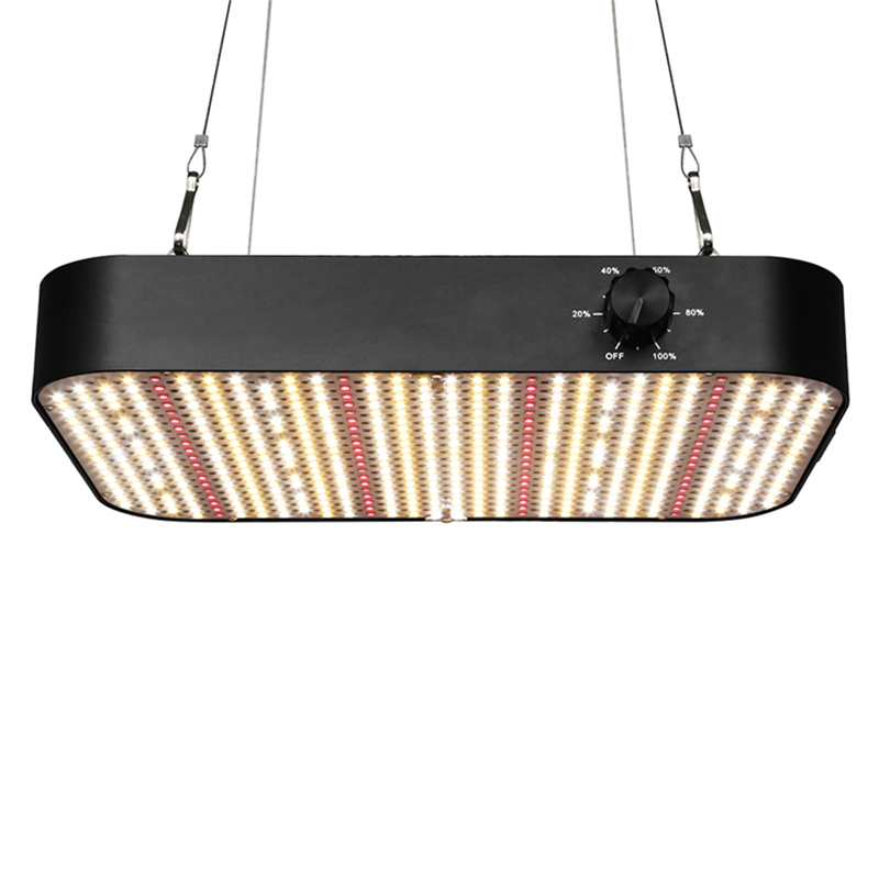 Box-style LED Grow Light