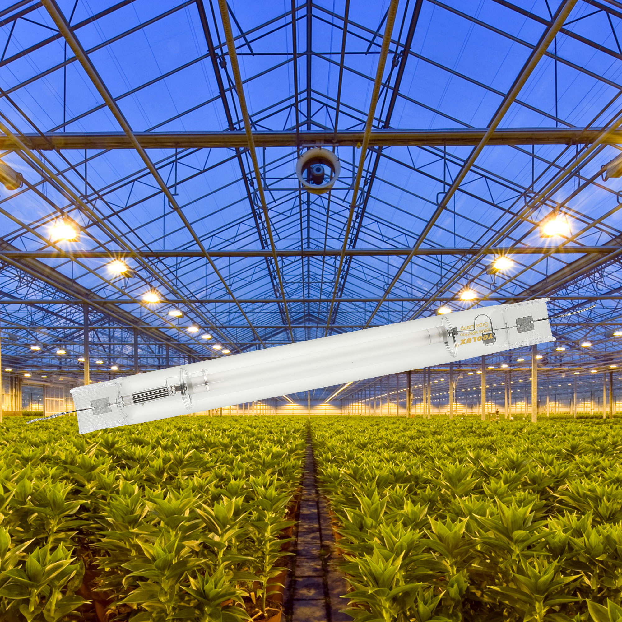 Professional HID Manufacturer Grow Plant 1000w Double Ended Hps Light Lamp