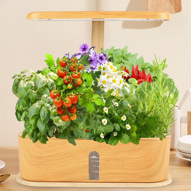 Greenhouse Hydroponic Systems Channels Commercial Lettuce Farming Vegetable Cultivation Professional