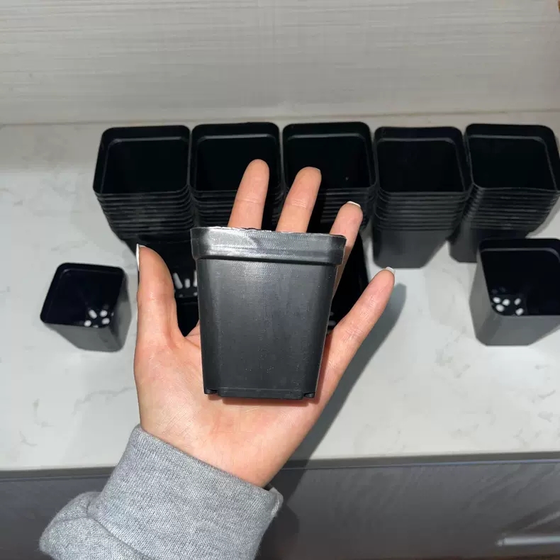 P8 Plastic Planting Bucket