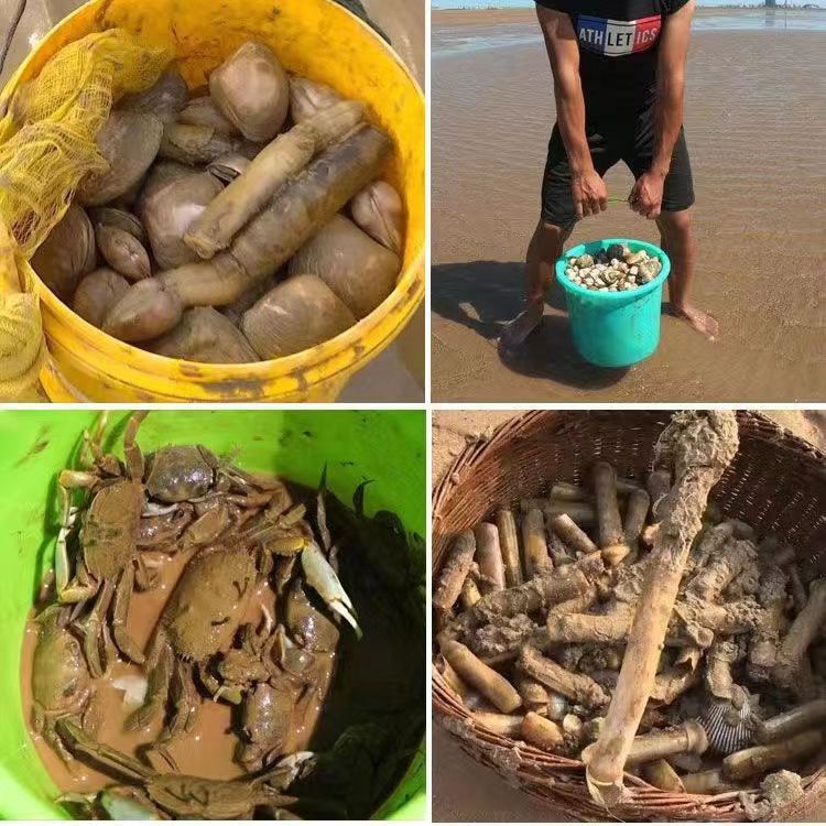 Garden black rubber handle five-tooth rake