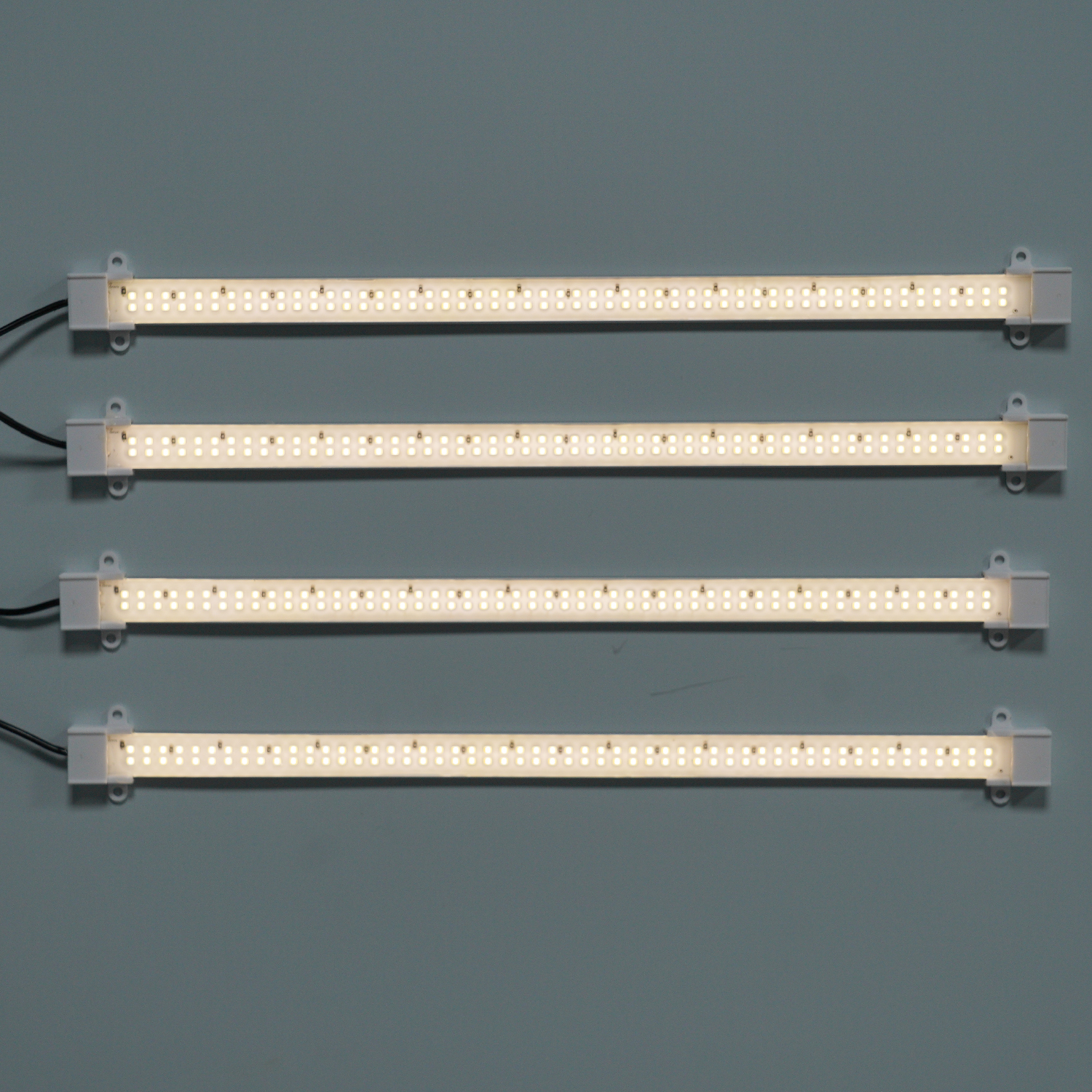 30 Watt 1 x 4 Plant Light