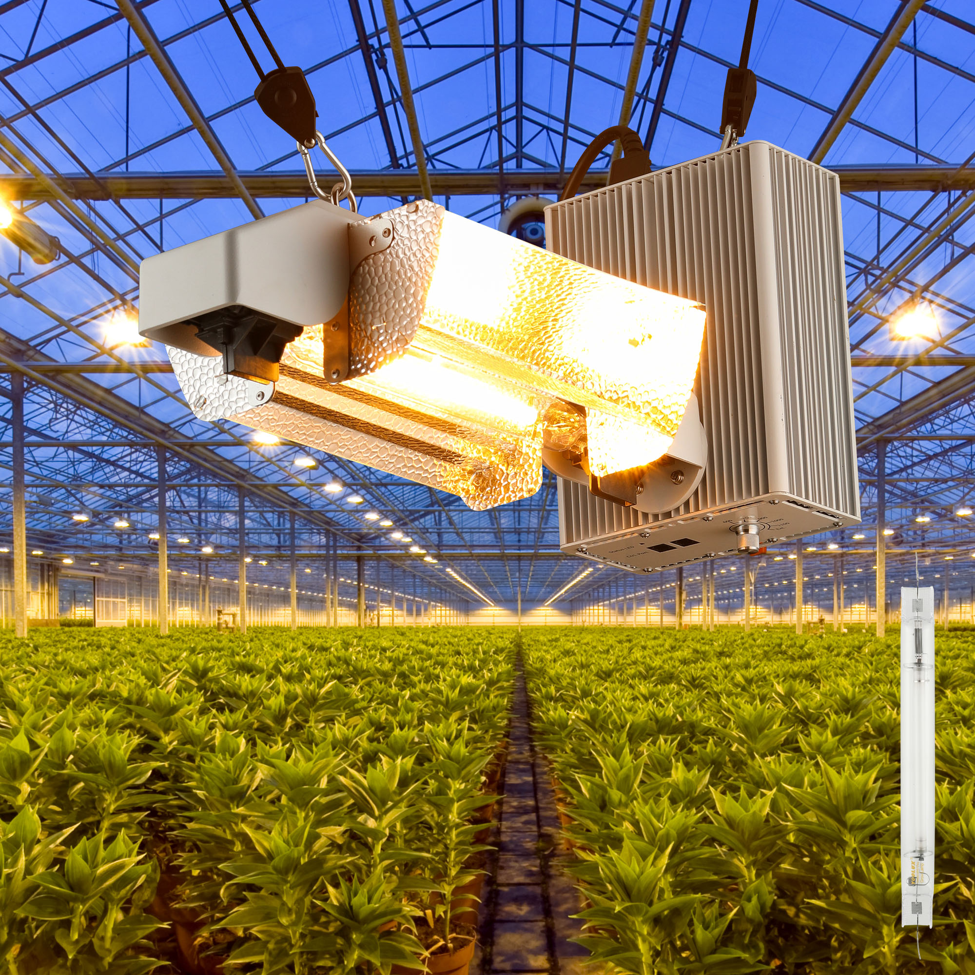 MEIJIU Newest HPS Bulb High Yield Economical Price 400W 1000W High PPF HPS T33 DE ,PRO, XP for Indoor Plant Verticulture