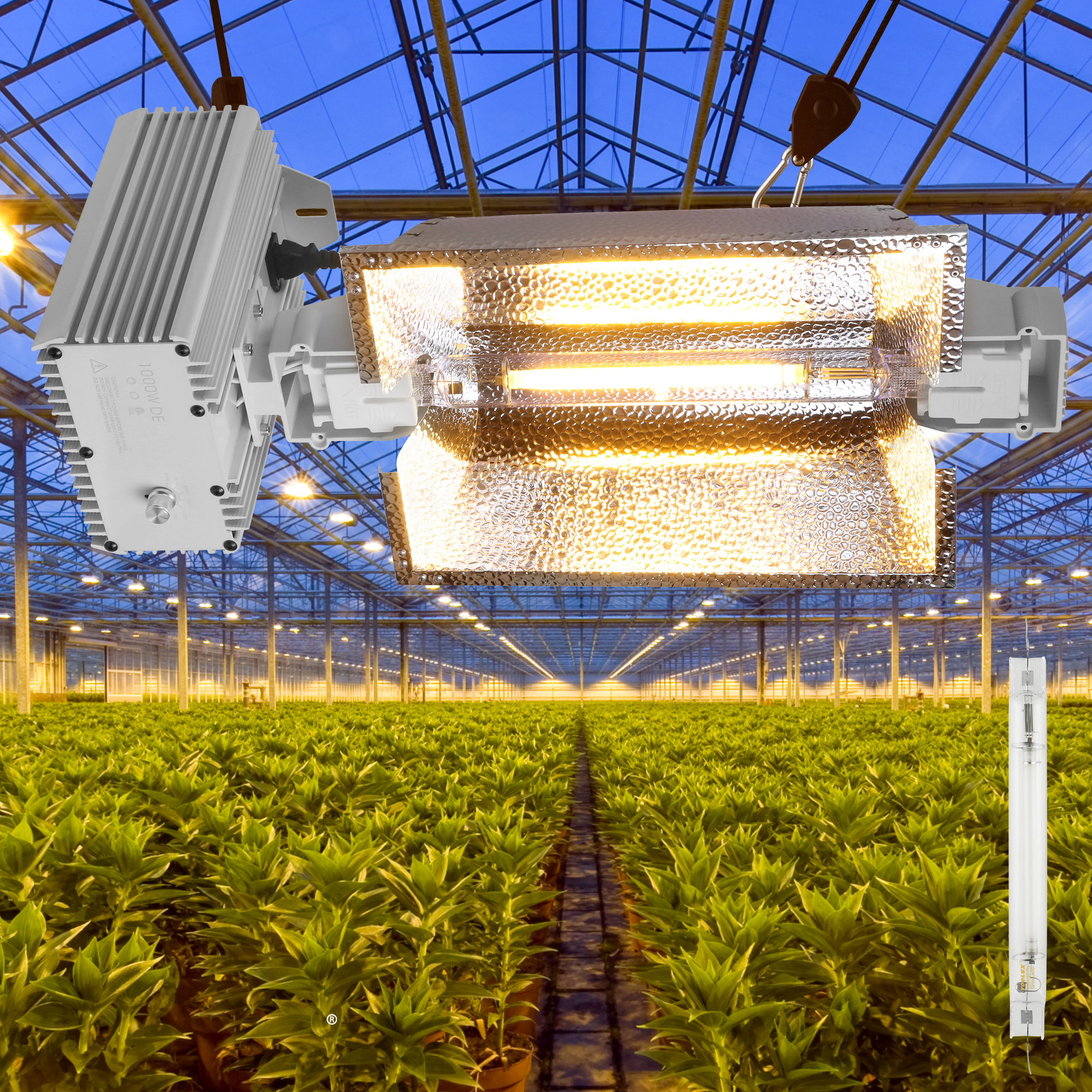 Greenhouse 120V-240V American Standard Plug Electronic Digital Greenhouse 1000W Ballast for MH & HPS Lamp
