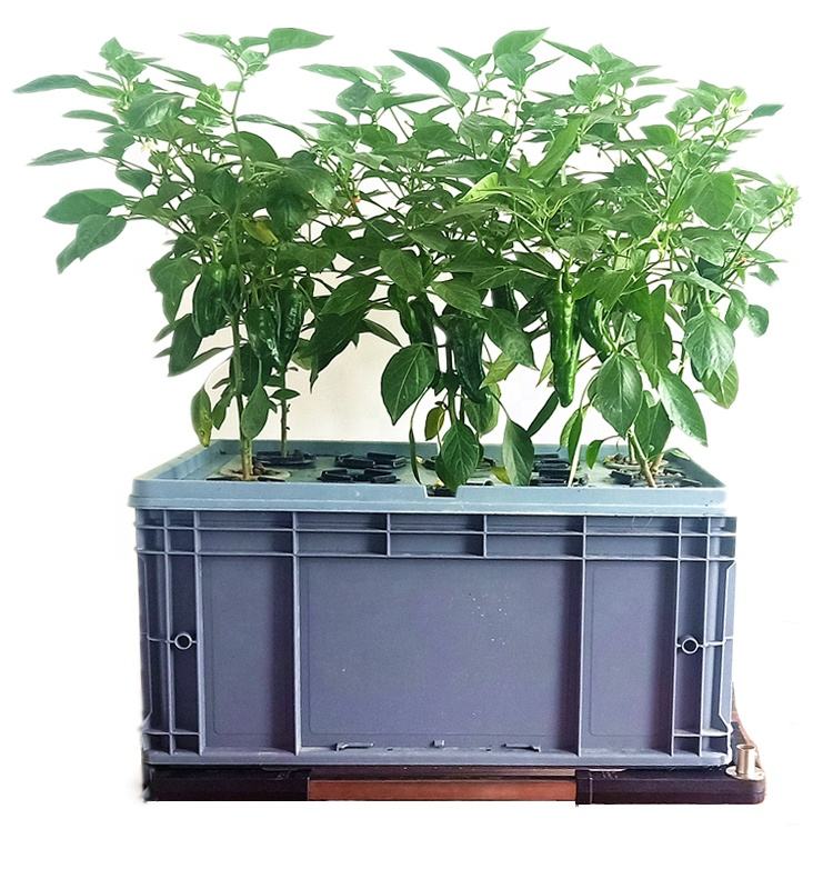 Aeroponic Planting Box for Indoor and Outdoor Greenhouse Home Veggies Growing and Planting