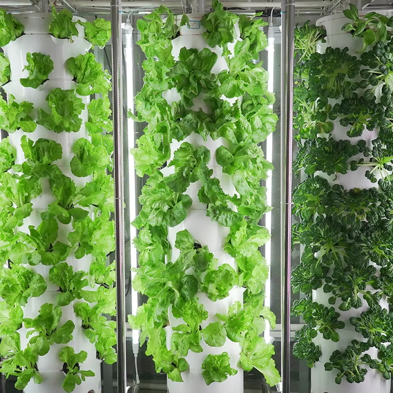 Searea Hydroponics Growing System Vertical Rotating Aeroponic Tower Farm