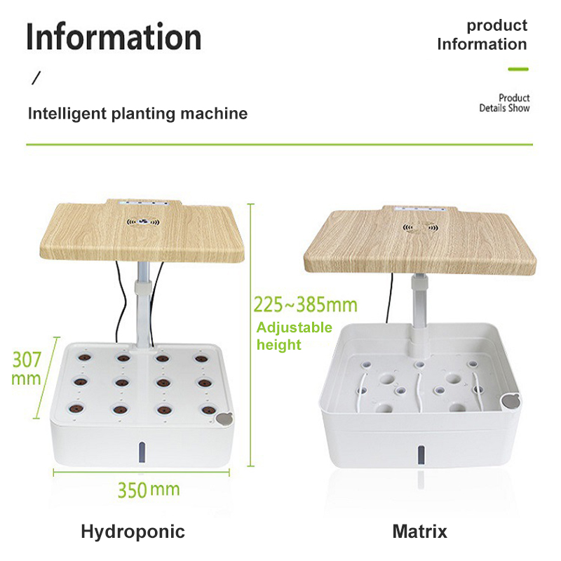Hydroponic Vegetable and Flower Planter