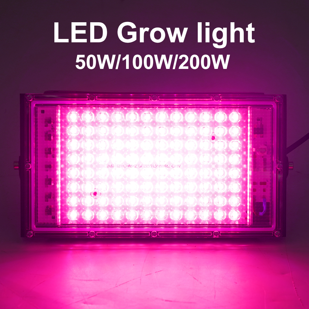 Advanced Quantum Board Full Spectrum LED Plant Lights for Seedling and Commercial Cultivation
