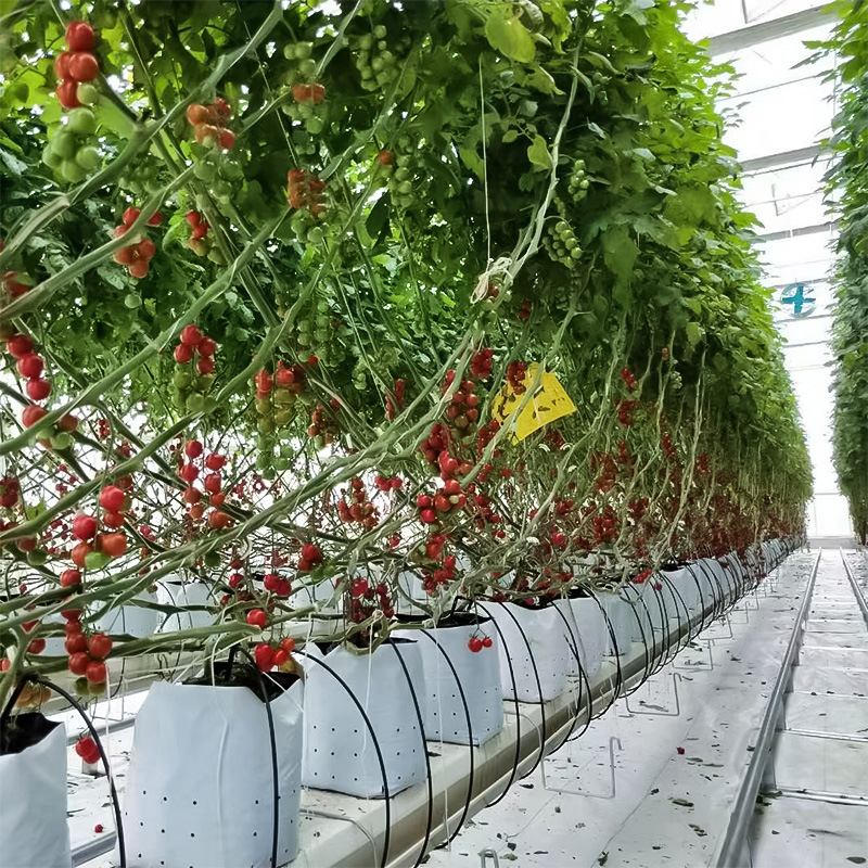 Customized Seed Spreader Bag for Seedlings Grow