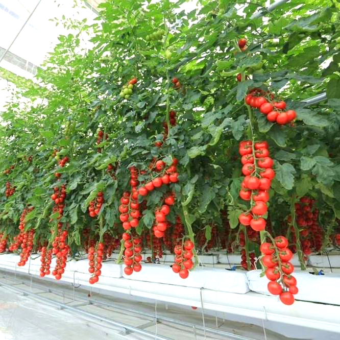 The material can be compressed into compact bricks or blocks for convenient storage and transportation, making it easy to handle