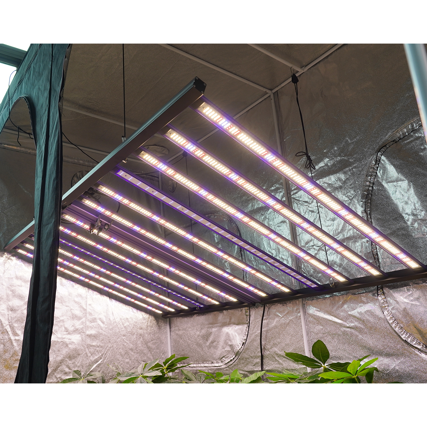 Meijiu Indoor Grow MJ450 Max1300w 180cm Samsung UV IR Full Spectrum Led Grow Light for Commercial Growing