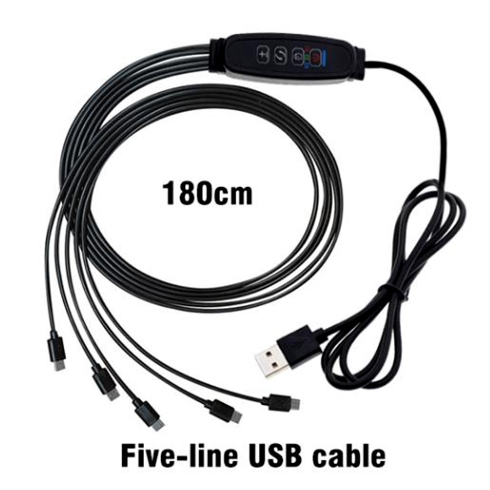 Wholesale Garden Nursery Plant Seed Grow Tray With Lid 12 Cell Germination Seedling Starter Tray Kit With Dome Grow Light