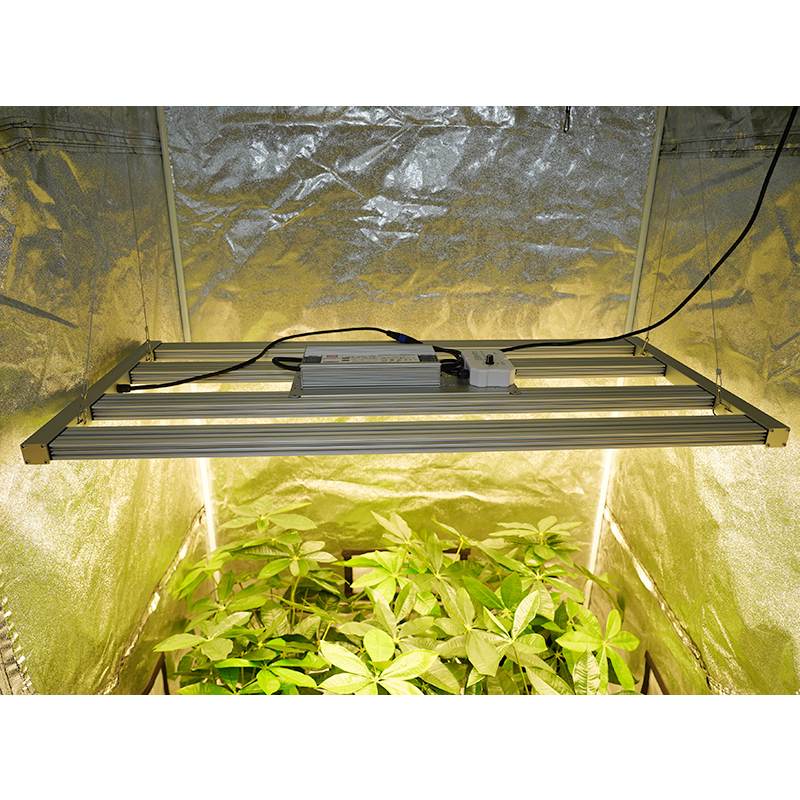 Advanced 320W Full Spectrum LED Grow Light with Adjustable Spectrum for Hydroponic Cultivation