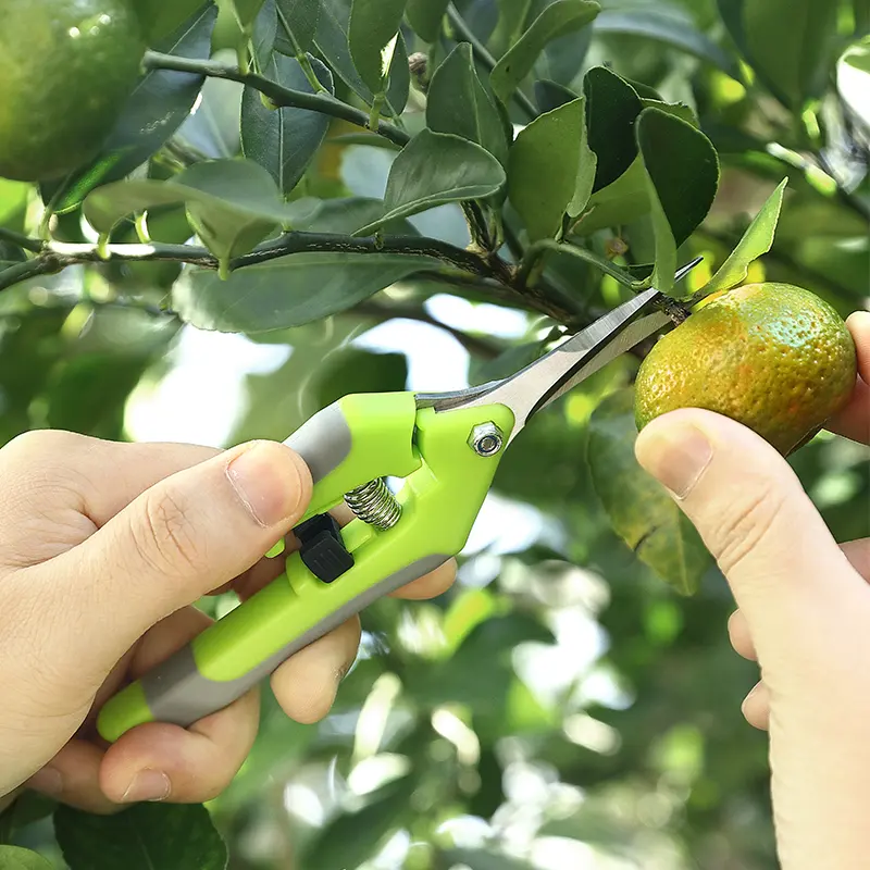 Pruning Shear Hand Pruner Straight Edge Scissors Fruit Picking Scissors