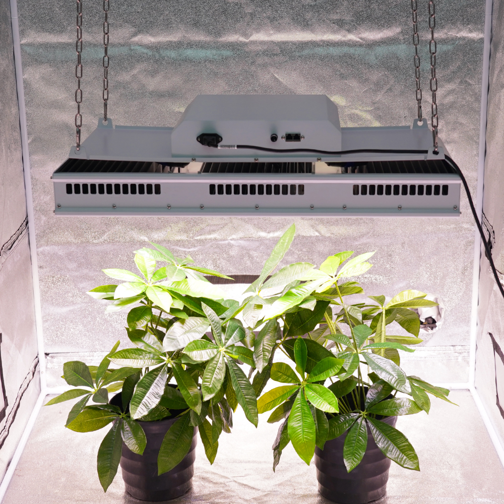 1200W Full Spectrum High Bay LED: Boost Growth with High PPFD