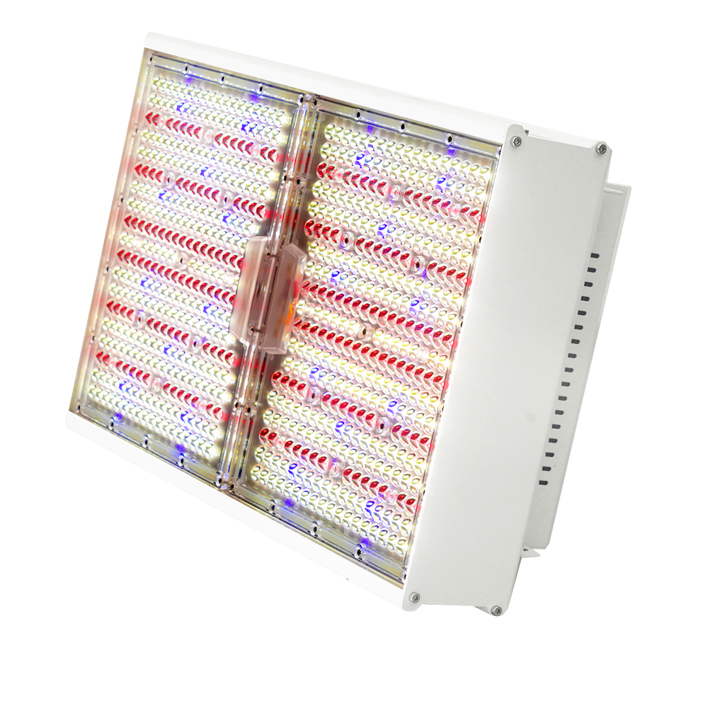 800W Full Spectrum High Bay LED: Boost Growth with High PPFD