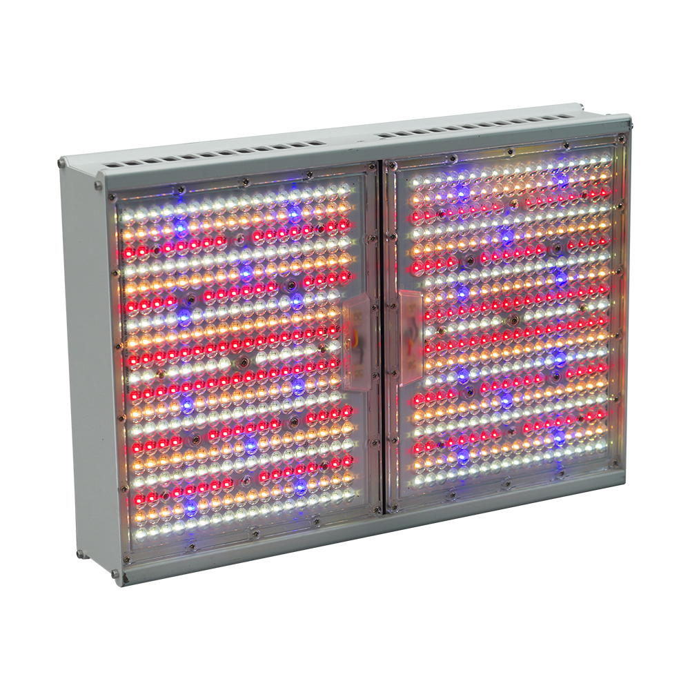 800W Full Spectrum High Bay LED: Boost Growth with High PPFD