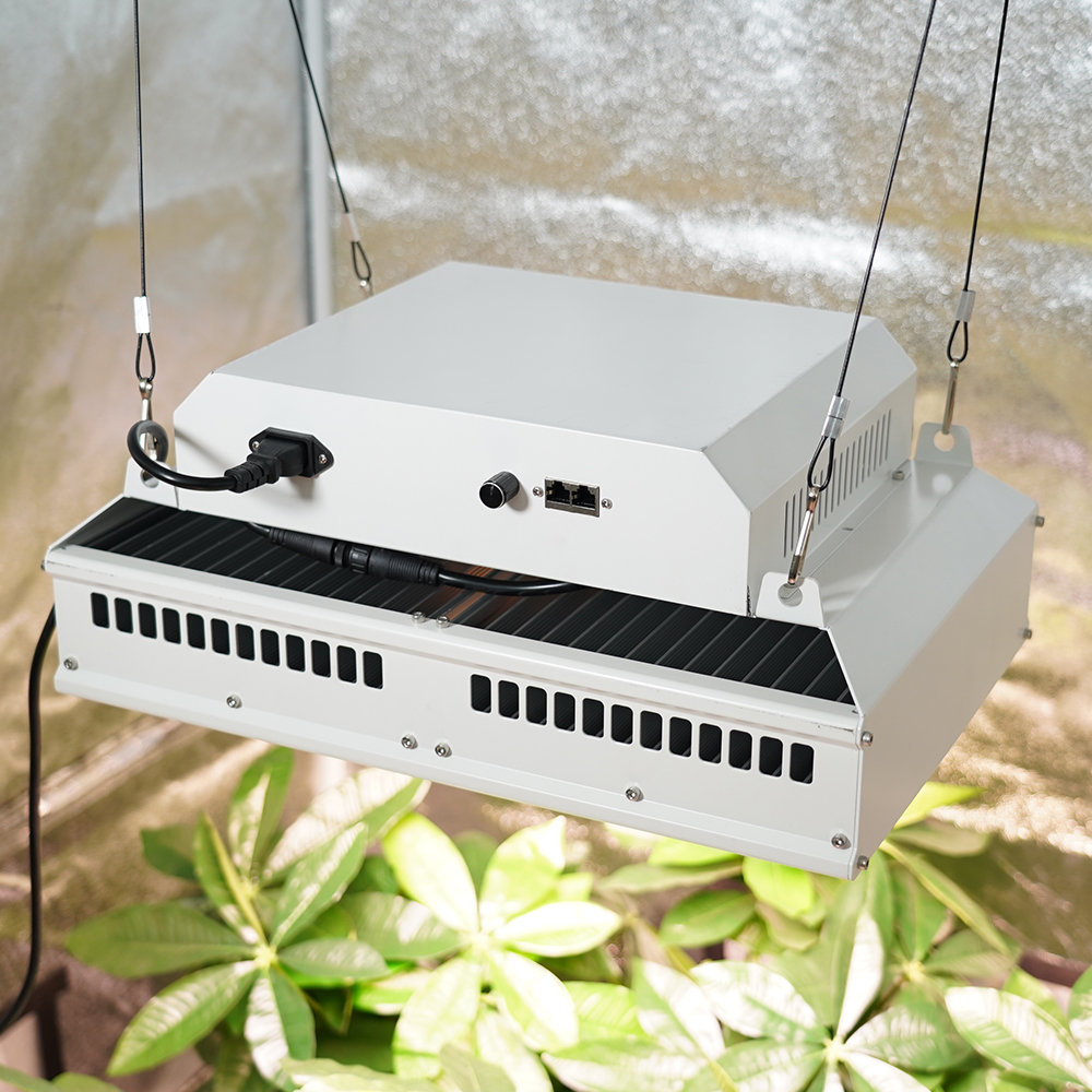 800W Full Spectrum High Bay LED: Boost Growth with High PPFD