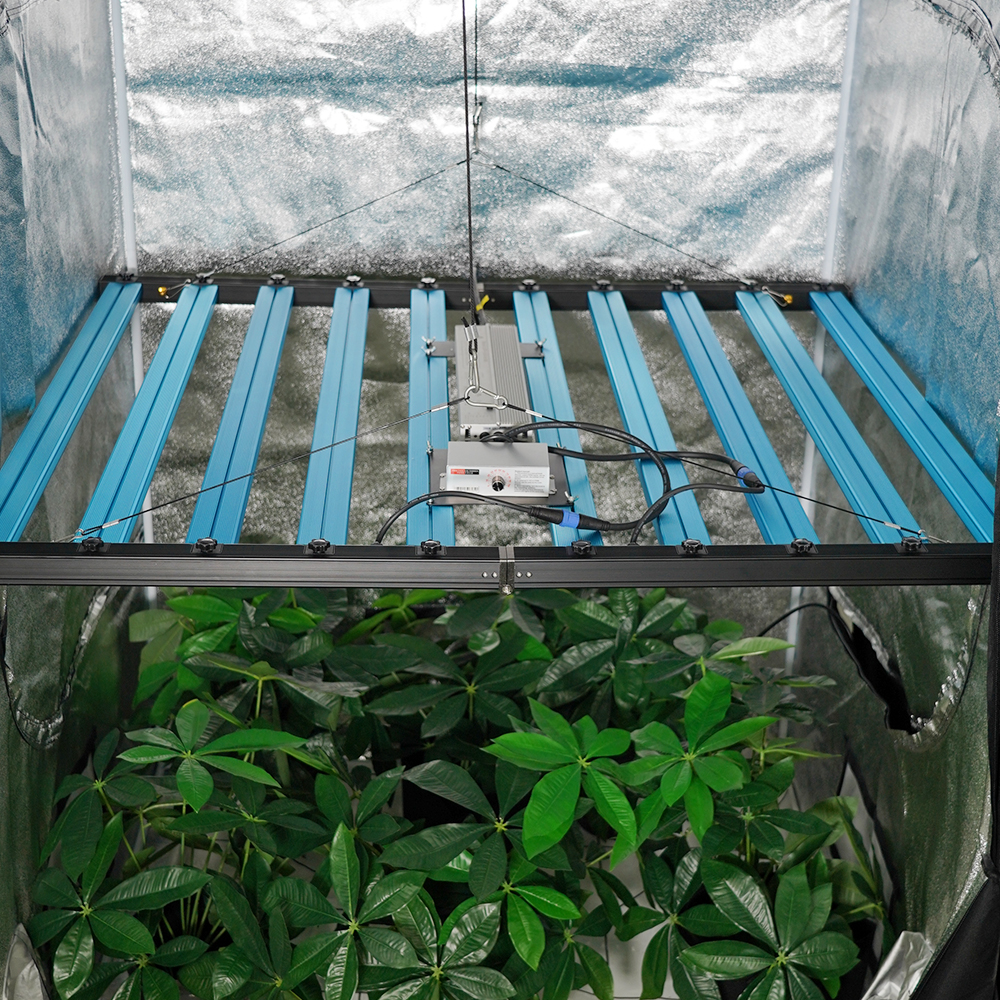 MEIJIU M125 1000W SAMSUNG Mixing Deep Red660nm Full Spectrum Led Grow Light for Grow Factory