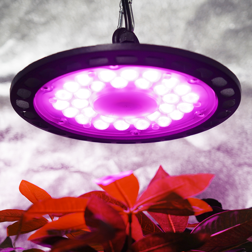 Powerful 200W Full Spectrum Round LED Growth Lights for Flowers & Fruit Plants in Greenhouses