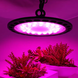 Powerful 200W Full Spectrum Round LED Growth Lights for Flowers & Fruit Plants in Greenhouses