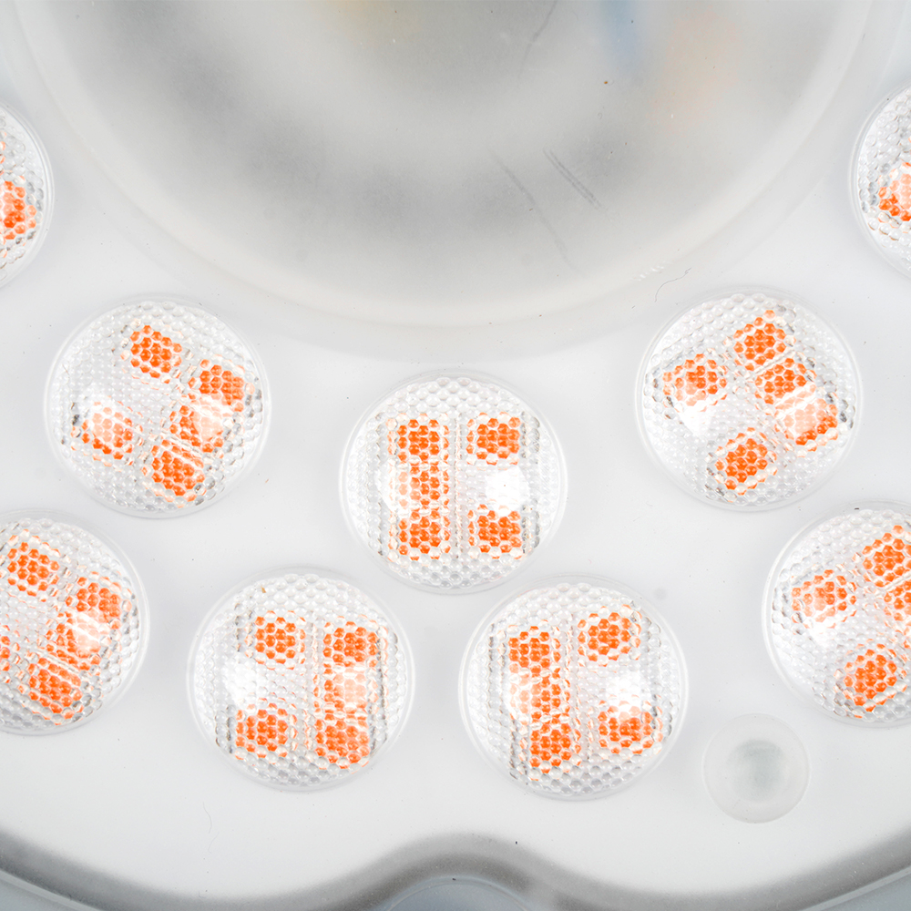 Dragon Fruit Fill Light 150w LED Bulb Indoor Plant Light Grow Lights for Indoor Plants Plant Light for Indoor Plants Plant Grow Lights LED Grow Light