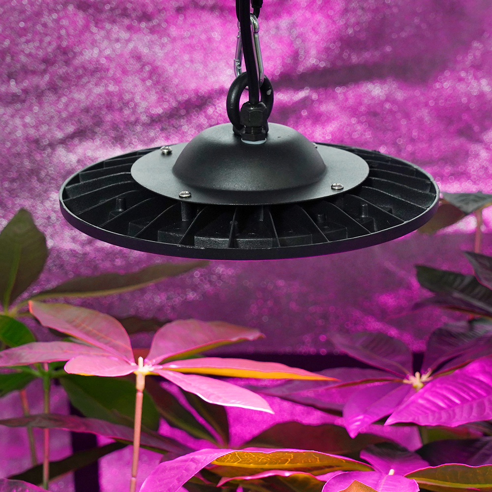 Dragon Fruit Fill Light 100w LED Bulb Indoor Plant Light Grow Lights for Indoor Plants Plant Light for Indoor Plants Plant Grow Lights LED Grow Light