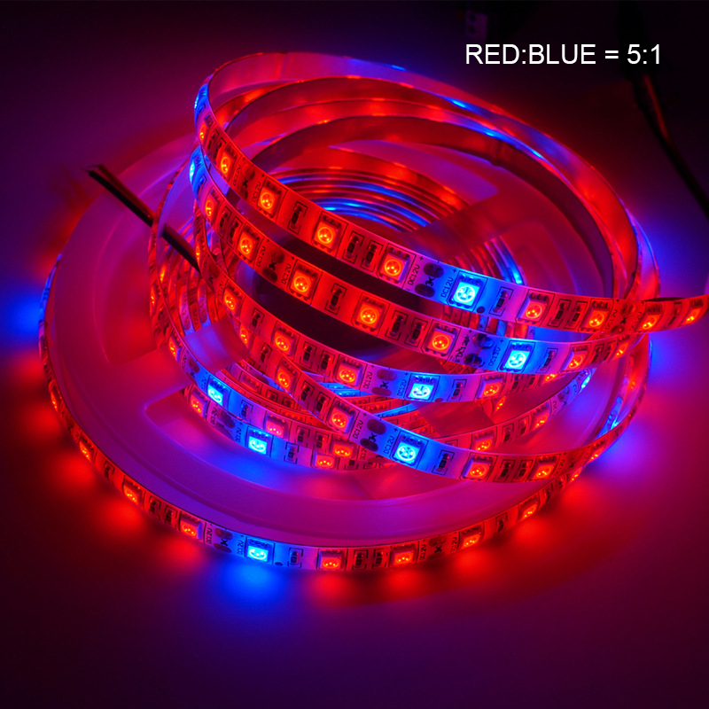 Full Spectrum LED Grow Light Strip 12V Flexible Phyto Lamp for Indoor Hydroponic Greenhouse Plant Growing Tape Home Use